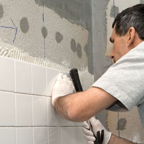 rf5798586_forestpath091000025